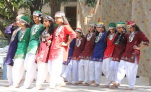 Students of Dewan Badri Nath Vidye Mandir presenting cultural item.