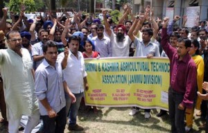 Agriculture Technocrats holding protest demonstration at Jammu on Thursday.