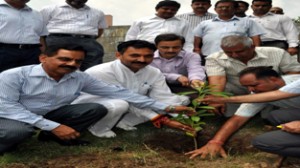 Minister for State for Cooperative, Manohar Lal Sharma planting a sapling on eve of 65th Van Mahotsava on Thursday.