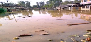 Rajbagh and Jawahar Nagar areas still under 4 to 5 feet water on Thursday. -Excelsior/Amin War