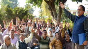 NMC activists raising slogans during rally at Jammu on Sunday.