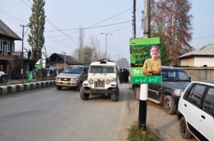 PDP flag strips on electric poles.