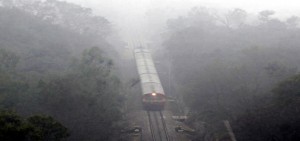 A train on way to Udhampur amid dense fog on Saturday. -Excelsior/Rakesh