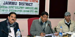 DC Jammu, A K Sahu chairing DLRC meeting on Friday.