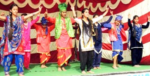 Students of Diamond Public School presenting cultural item while celebrating annual day on Monday.