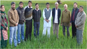 Skuast-J scientists interacting with farmers in adopted field at Kathua.