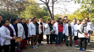 BAMS students of IAR Nardani (Raipur) during 322nd Tree Talk at Jammu on Friday.