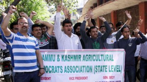 Agriculture technocrats raising slogans during protest at Jammu on Sunday.     -Excelsior/ Rakesh