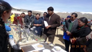 DC Leh inspecting stalls at Science Exhibition by DIET .