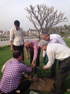 JU Vice Chancellor Prof R D Sharma planting a sapling of Rudraksh Tree.
