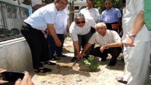 A sapling being planted on the occasion of World Environment Day on Monday.