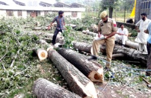 Police personnel preparing seizure memo as green trees were felled in ITI complex Mendhar.