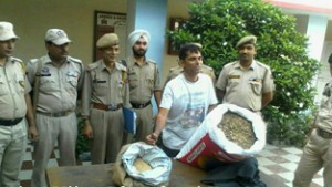 Narcotic smuggler in police custody.