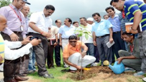 CEO SMVDSB Ajeet Kumar Sahu planting a sapling in Katra on Wednesday. 