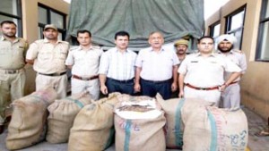 Banned forest produce ‘nagchatri’ seized by Excise Department and Forest Department at Lakhanpur.