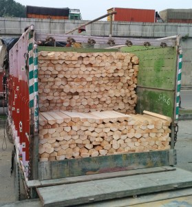 Willow clefts seized by Excise Department and Police at Lakhanpur on Friday.  -Excelsior/ Madan