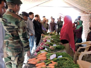 Army and civil officers inspecting a vegetable stall during Mela in Kargil on Tuesday. 