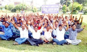 Casual labourers of Agriculture Department during a protest dharna at Krishi Bhawan, Jammu.