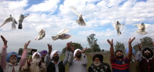 People release pigeons as Army returns their land after de-mining it on the LoC in Akhnoor sector on Friday.