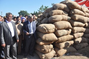 Minister for Agriculture, Ghulam Nabi Lone Hanjura flanked by Minister for PHE, Ch Sukhnandan inspecting Paddy Procurement Centre on Saturday.