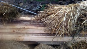 Illicit timber recovered from Bandipora. -Excelsior/Aabid Nabi