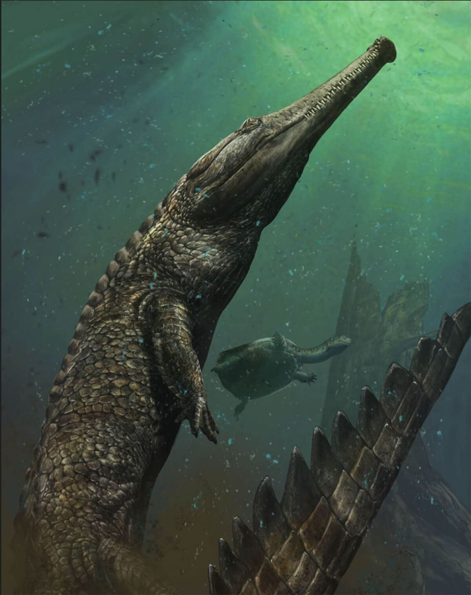 big crocodile dinosaur