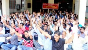 VLWs/ MPWs/ MGNREGA workers raising slogans in support of their demands during protest dharna at Jammu on Thursday.
