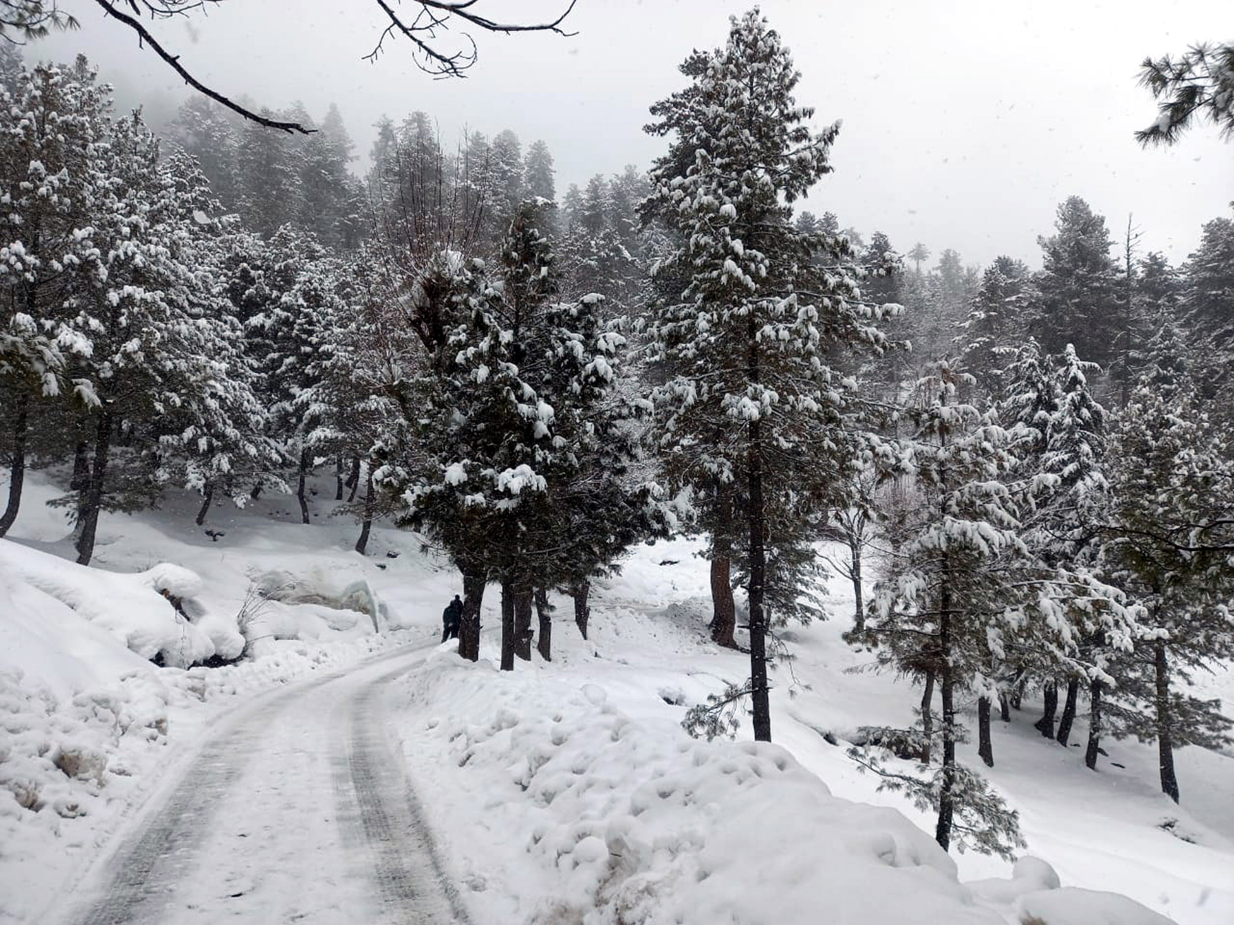 After Weeklong Rain Snow Weather Improves In J K Ladakh Jammu