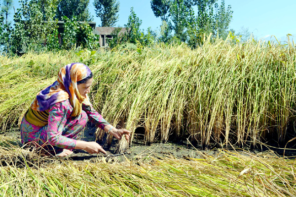 Anantnag - Alchetron, The Free Social Encyclopedia