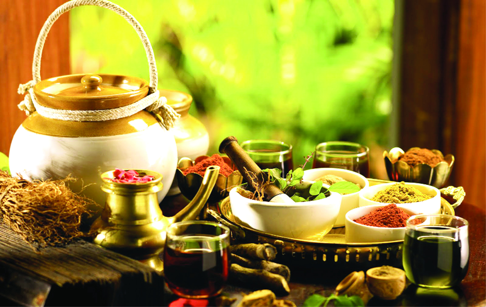 career-in-ayurveda-jammu-kashmir-latest-news-tourism-breaking