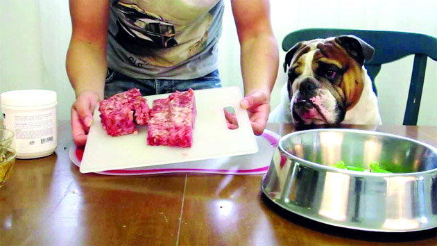 Diet for Dogs - Jammu Kashmir Latest News | Tourism | Breaking News J&K