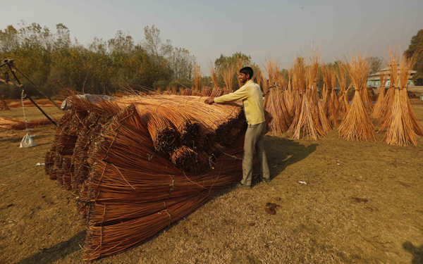 A boy adjusts wicker sticks to dry them on the outskirts of Srinagar