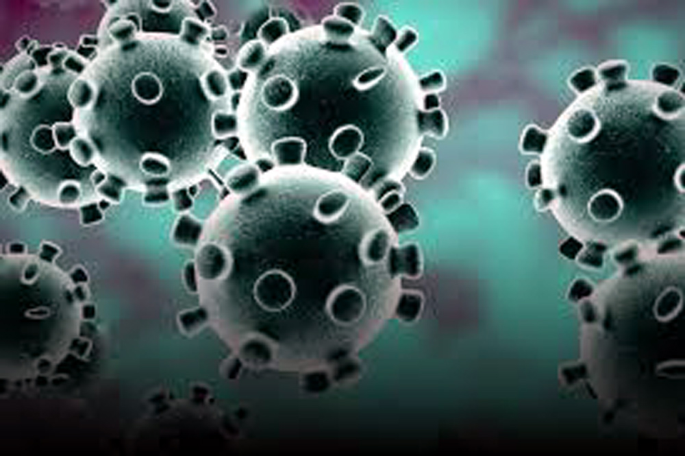 Image result for cronovirus