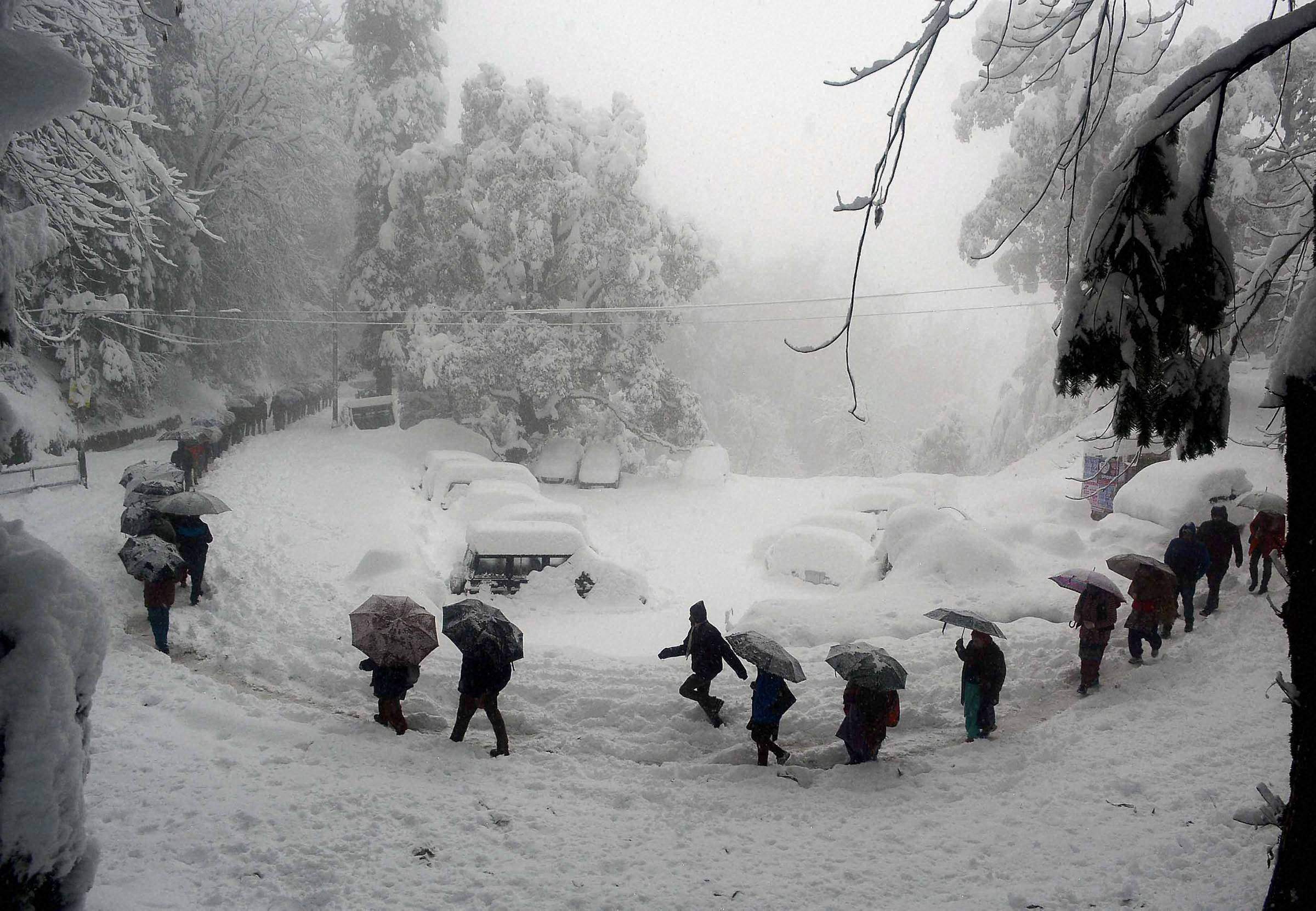 Snowfall In Higher Reaches Of Himachal Jammu Kashmir Latest News Tourism Breaking News Jandk 5012