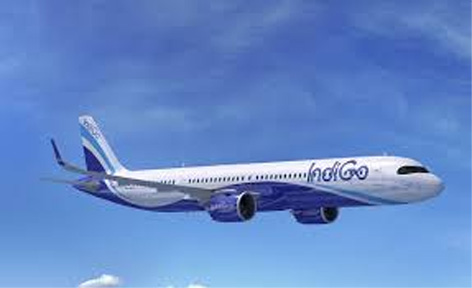 IndiGo CarGo operations on a high, with over 1700 charters since April ...