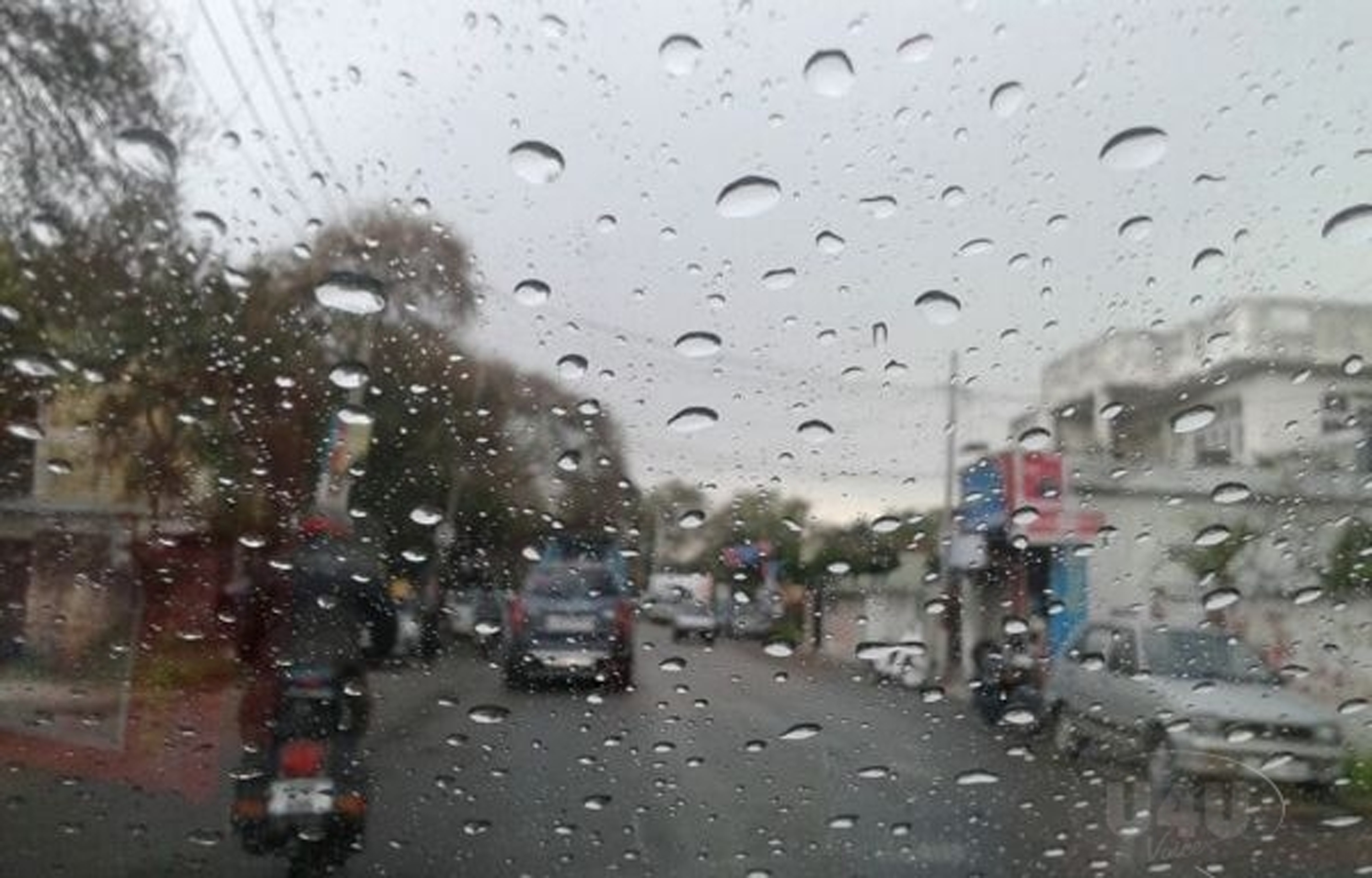 Jammu records 50.1 mm rainfall in a day, secondhighest for January in